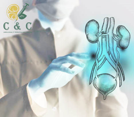 Female doctor touches virtual Bladder and Kidneys in hand. Blurred photo, handrawn human organ, highlighted red as symbol of disease. Healthcare hospital service concept stock photo